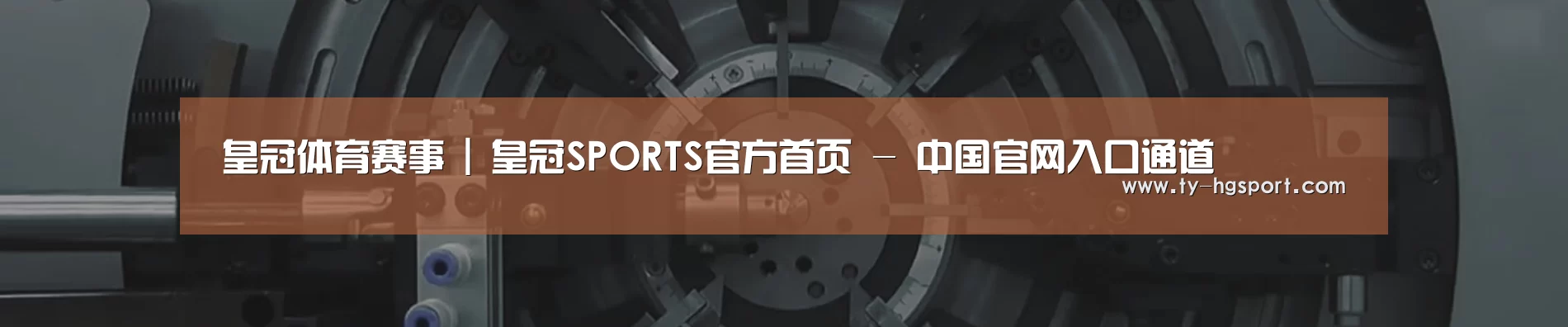 某某机械公司