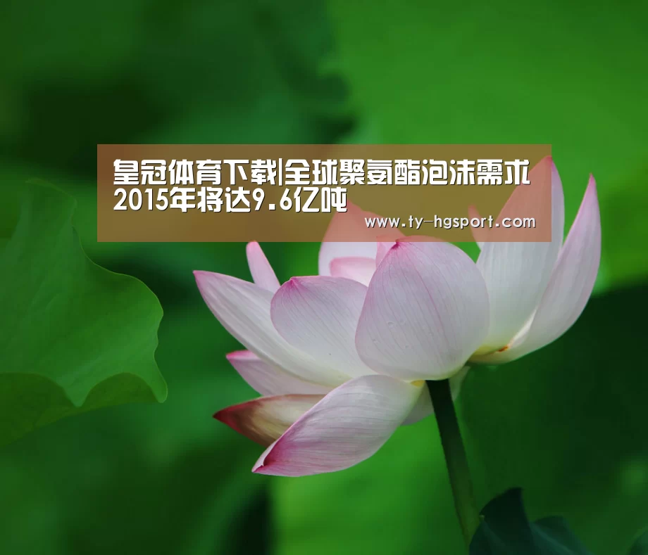 皇冠体育下载|全球聚氨酯泡沫需求2015年将达9.6亿吨