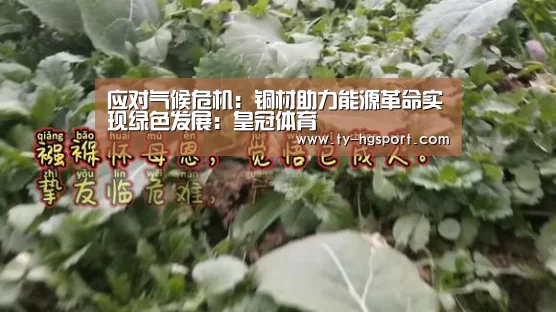 应对气候危机:铜材助力能源革命实现绿色发展:皇冠体育(图1) 皇冠足球