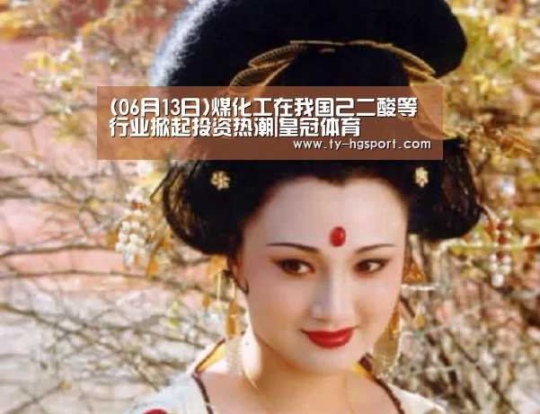 (06月13日)煤化工在我国己二酸等行业掀起投资热潮|皇冠体育(图3) 皇冠体育