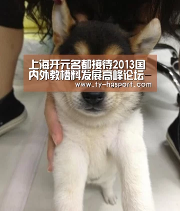 皇冠足球