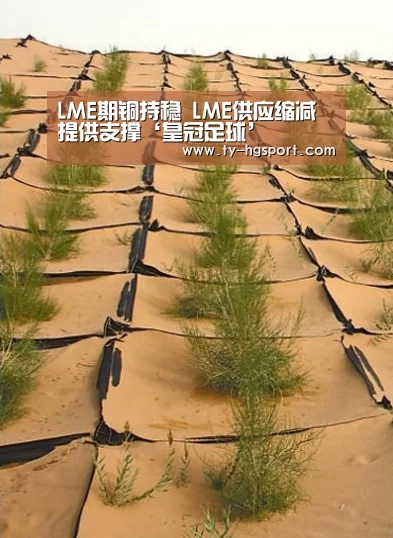 皇冠足球